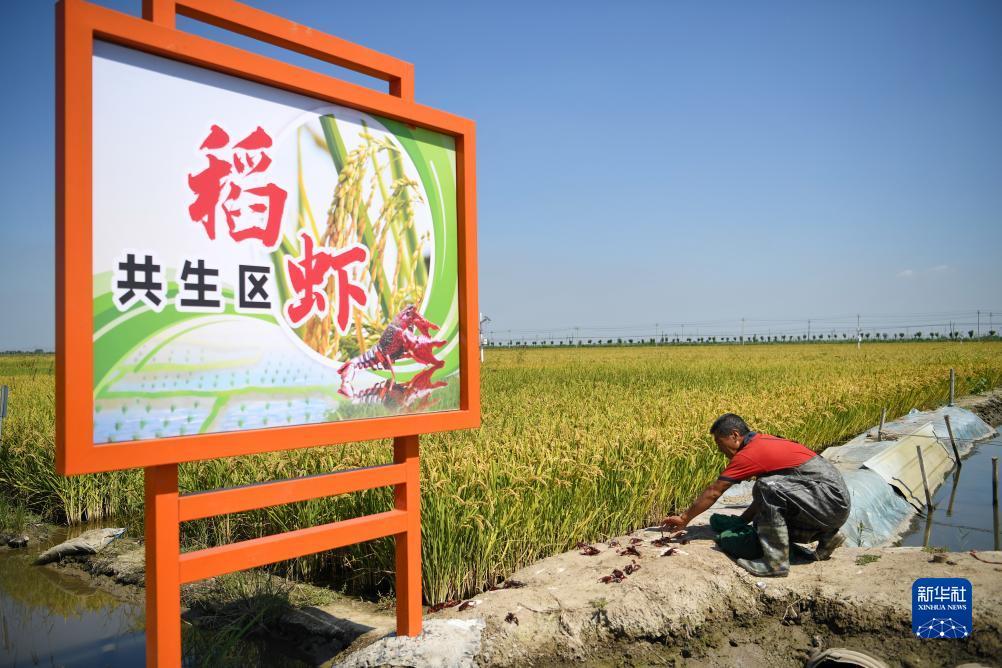 糖果派对注册送53